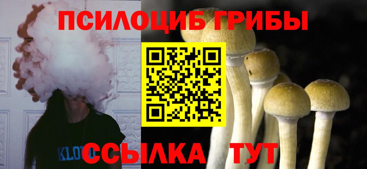 Галлюциногенные грибы ЛСД  Вход с VPN  наркота  Железноводск 