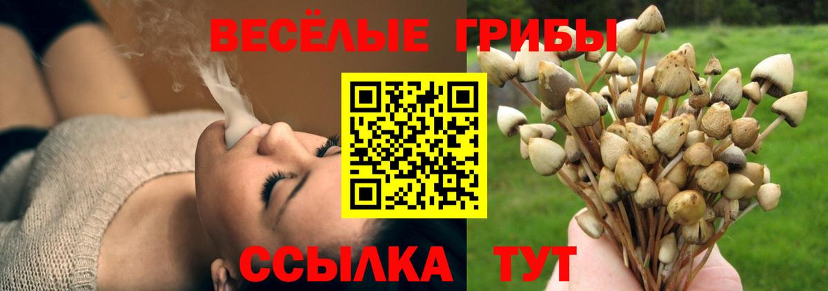 Галлюциногенные грибы ЛСД Железноводск